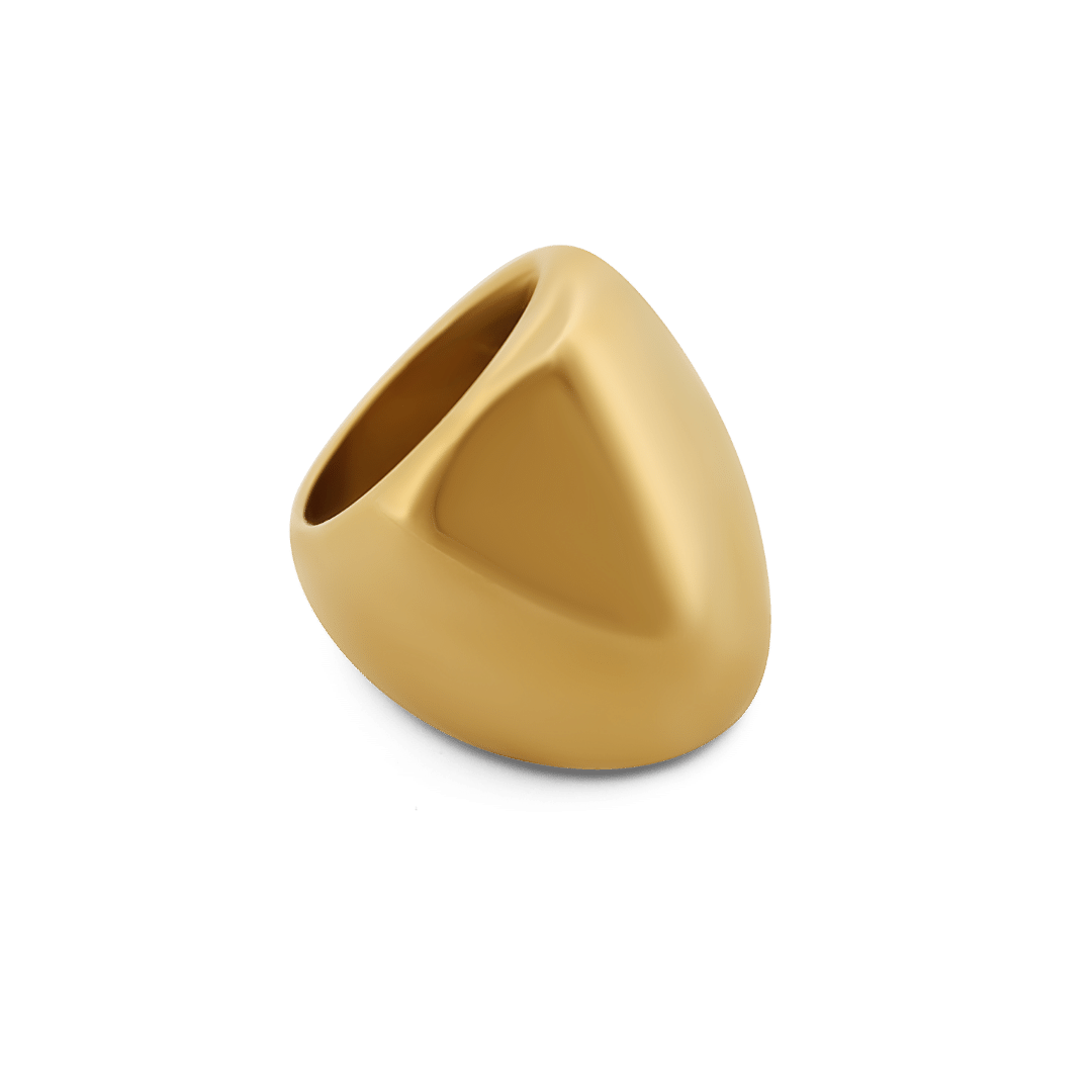 Shayla Ring Rings IceLink-BL Gold PVD 6 